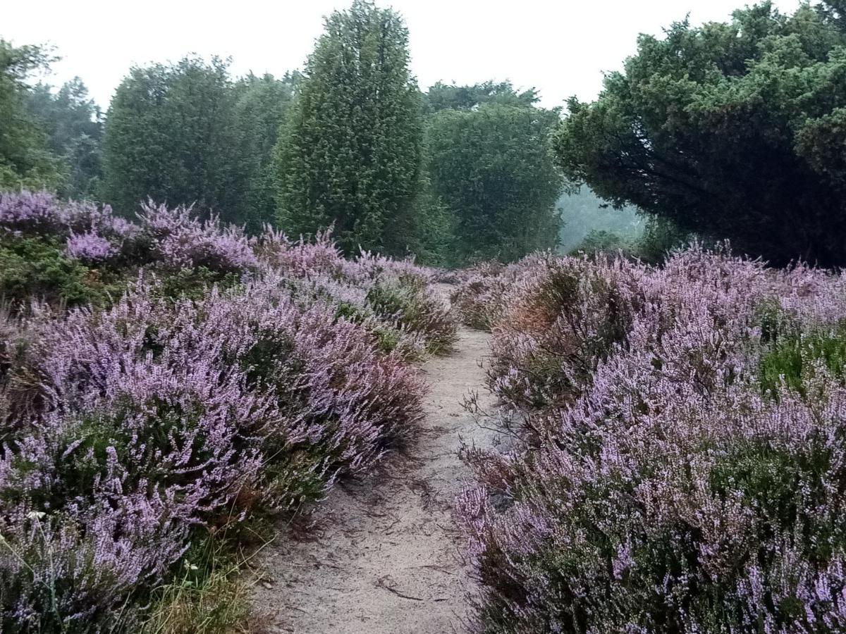 Villa Rikobravo Meppen Esterno foto